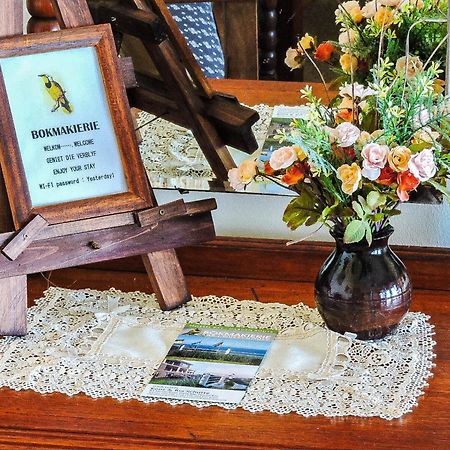 Amzee Bokmakierie Guest House Dana Bay Ngoại thất bức ảnh