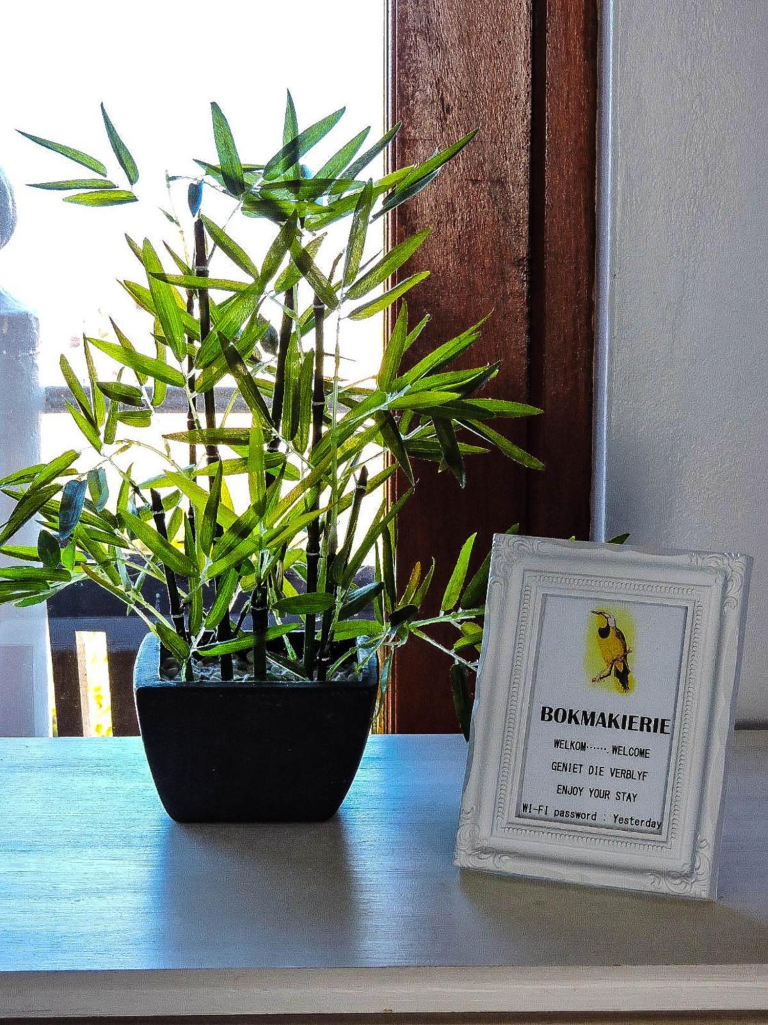 Amzee Bokmakierie Guest House Dana Bay Ngoại thất bức ảnh